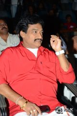 Anushtanam Movie Audio Launch